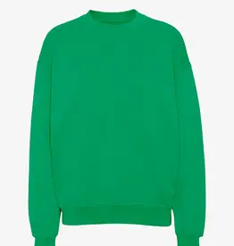 Colorful Standard Sweater 'Organic Oversized Crew' - Kelly Green - Colorful Standard