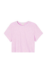 American Vintage T- Shirt Korte Mouw  'Ypawood' - Ypa02G - Glacage Chine  - American Vintage