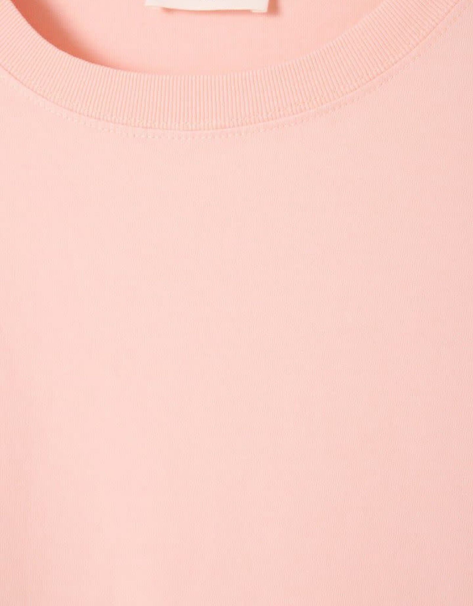 American Vintage T-Shirt 'Fizvalley' - Camelia Vintage - Fiz02A  - American Vintage