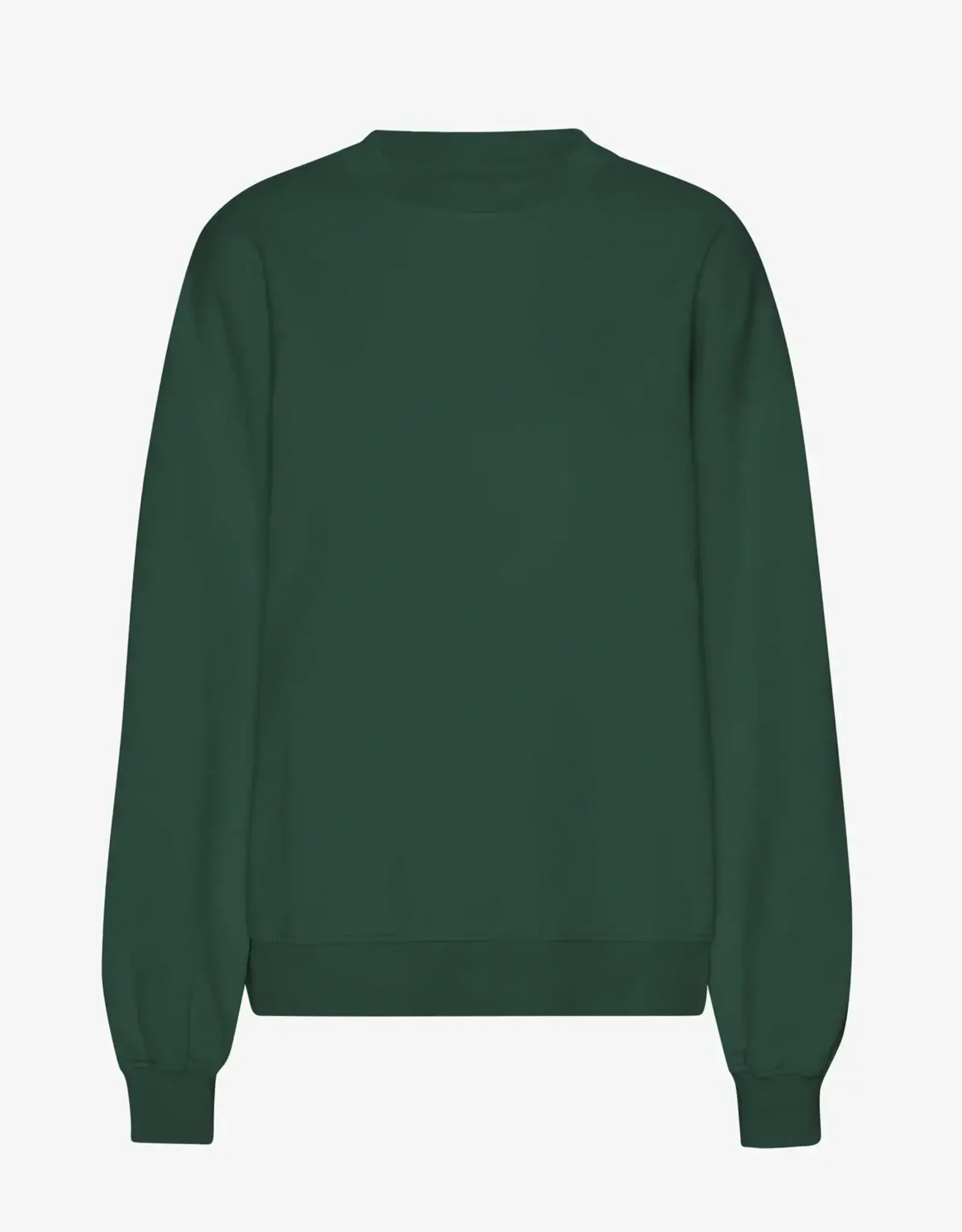 Colorful Standard Sweater 'Organic Oversized Crew' - Emerald Green - Colorful Standard