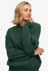 Colorful Standard Sweater 'Organic Oversized Crew' - Emerald Green - Colorful Standard