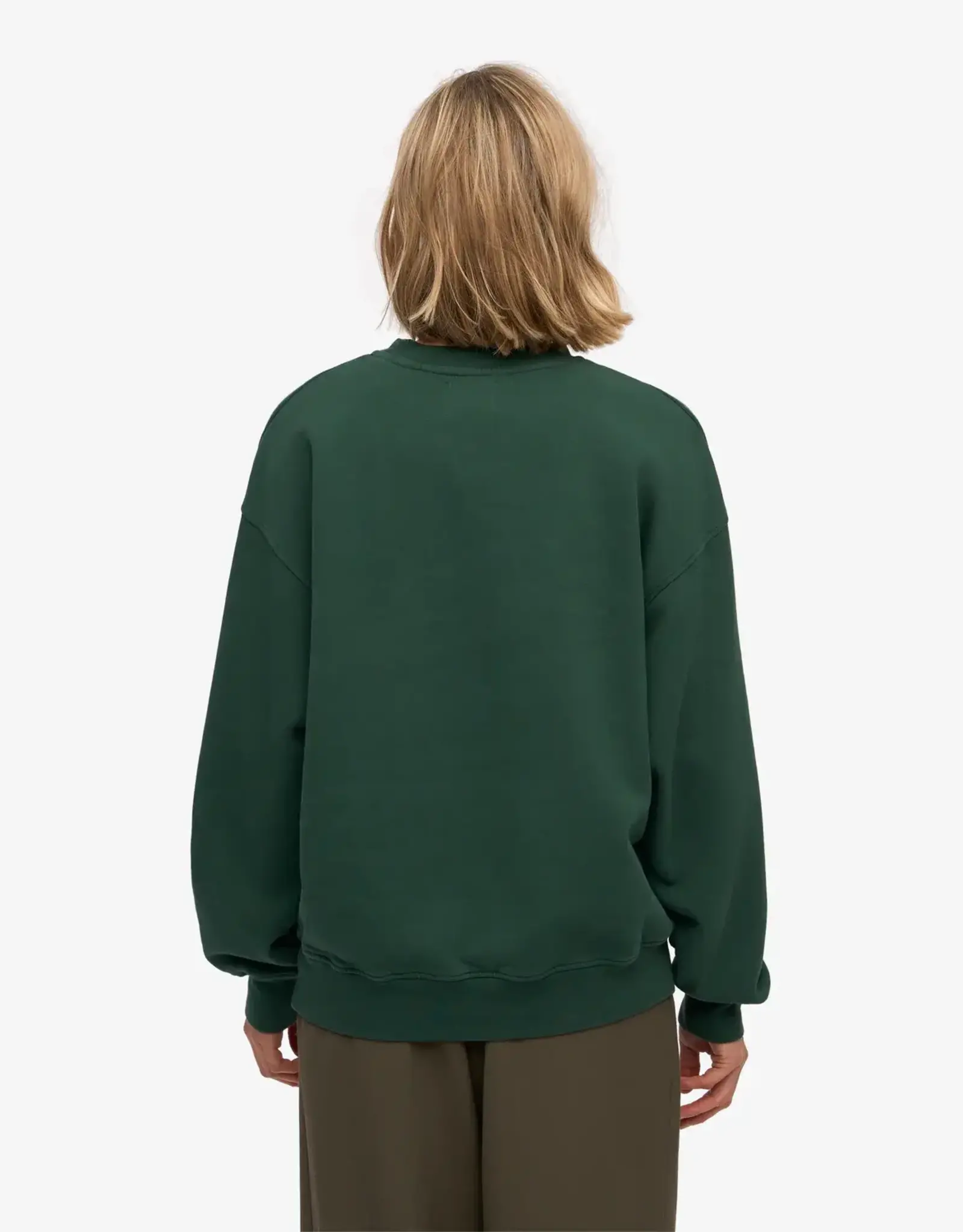 Colorful Standard Sweater 'Organic Oversized Crew' - Emerald Green - Colorful Standard