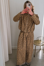 The Golden House Joh Broek Wide 'Panther' - Brown -  TU