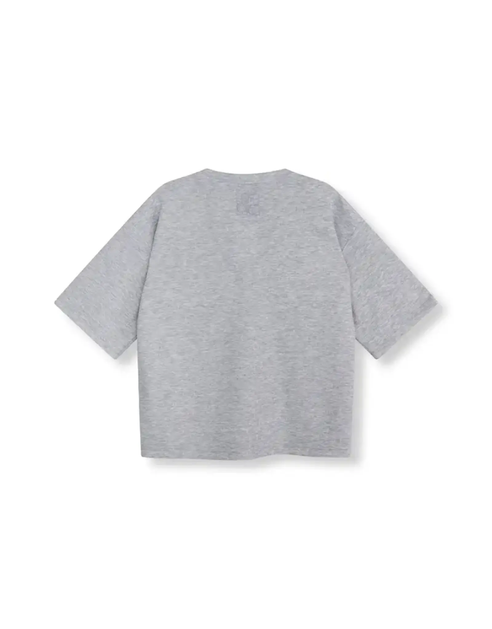 Refined Department T-Shirt V-Neck  'Dolla' - Grey Melange - Refined Department