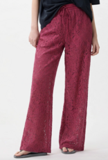 Catwalk Junkie Broek 'Pull On Lace' - Cranberry Juice - Catwalk Junkie