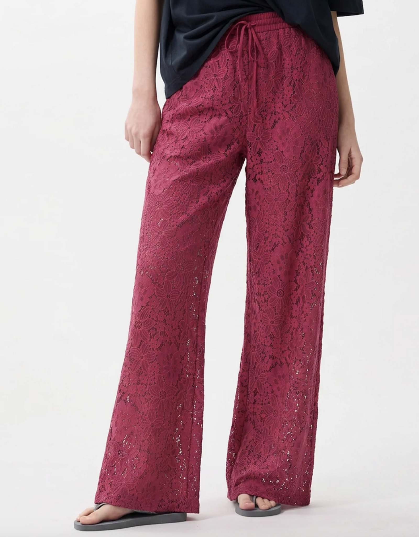 Catwalk Junkie Broek 'Pull On Lace' - Cranberry Juice - Catwalk Junkie