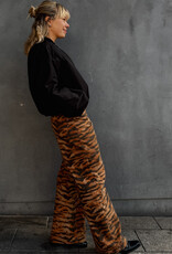 The Golden House - Garc Jeans  'Rika' - Tigre