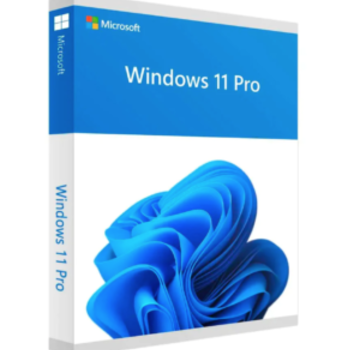 Microsoft Windows 11 Professional