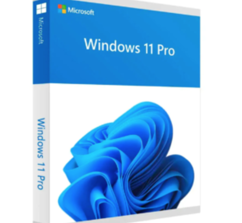 Microsoft Windows 11 Professional - Nederlands