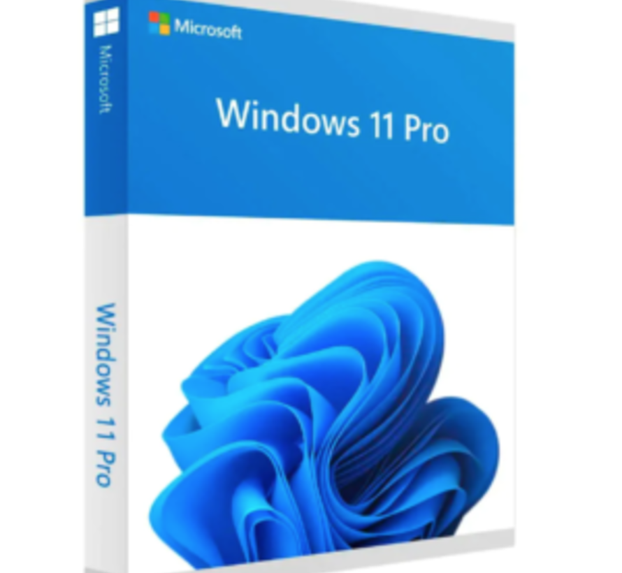 Windows 11 Professional - Español