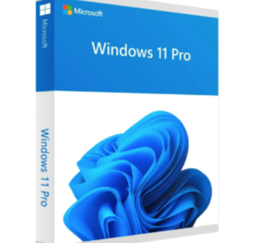 Windows 11 Professional - Nederlands