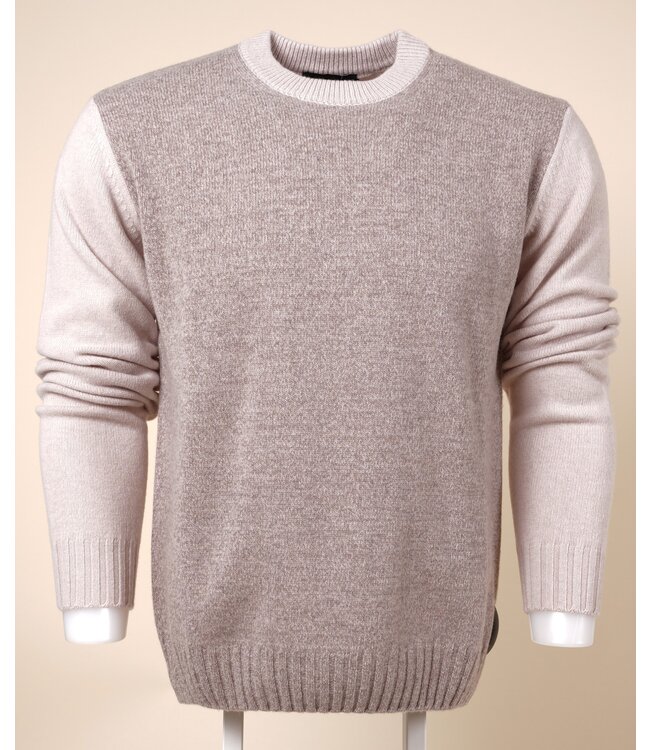 FX2529001 VAR 1 RISO