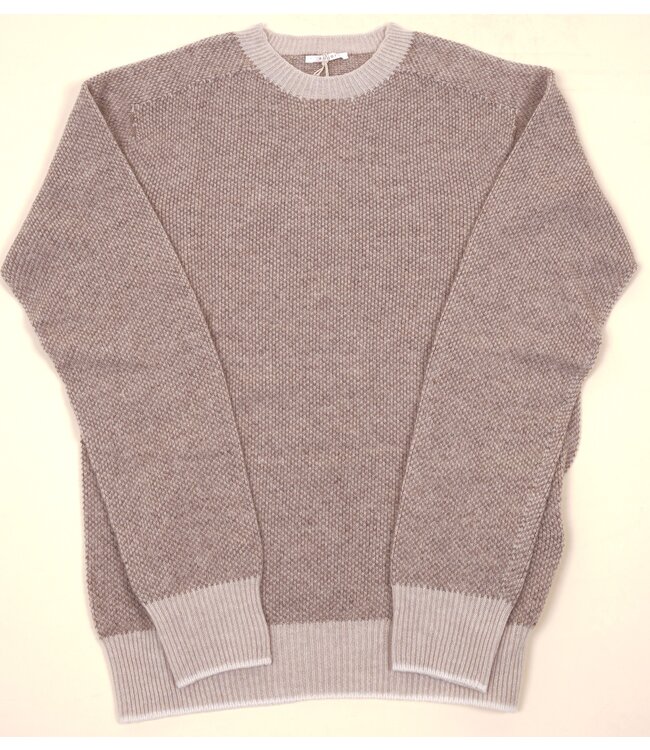 MP210 WN5106  504 ONIX/YUTA