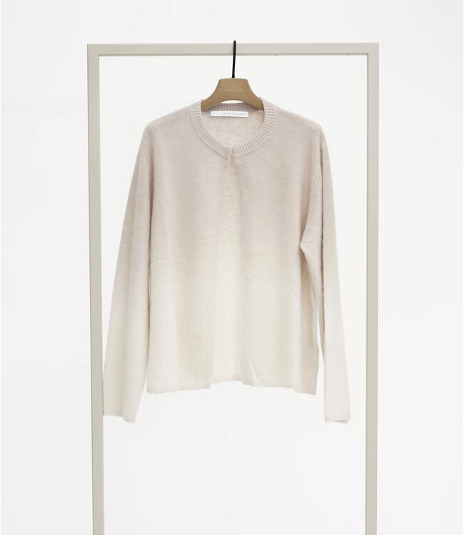 25254-1056 cl 254101