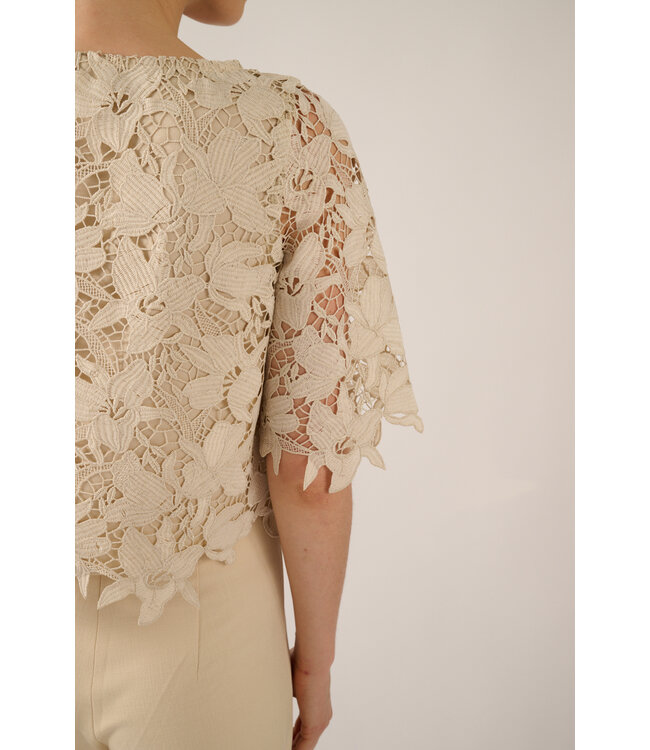 Babs S26-091 cream 528