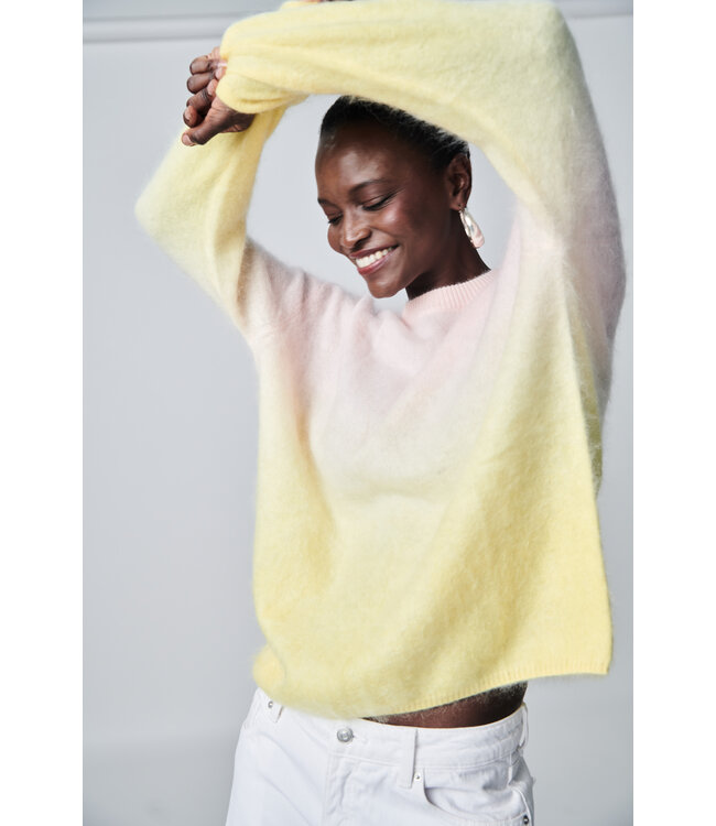 25261-1056 yolk multi