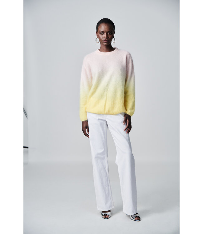 25261-1056 yolk multi