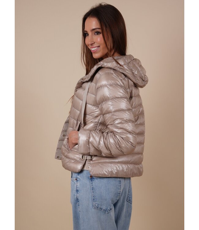 PI001994D 12017Z cl 1985 chantilly