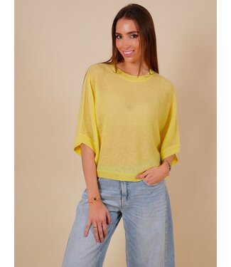 absolut cashmere Dames-pull Absolut Cashmere