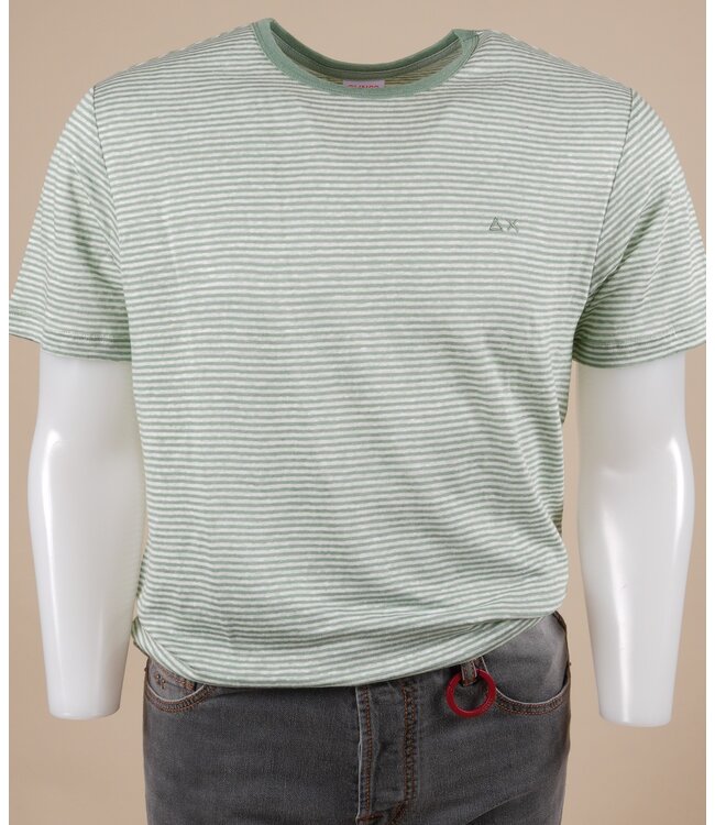 T36131/8431 SAGE GREEN/OFF WHITE