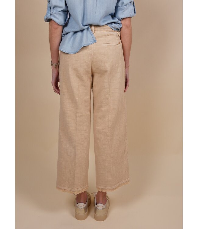 NYSCrop CBE074 cl 288