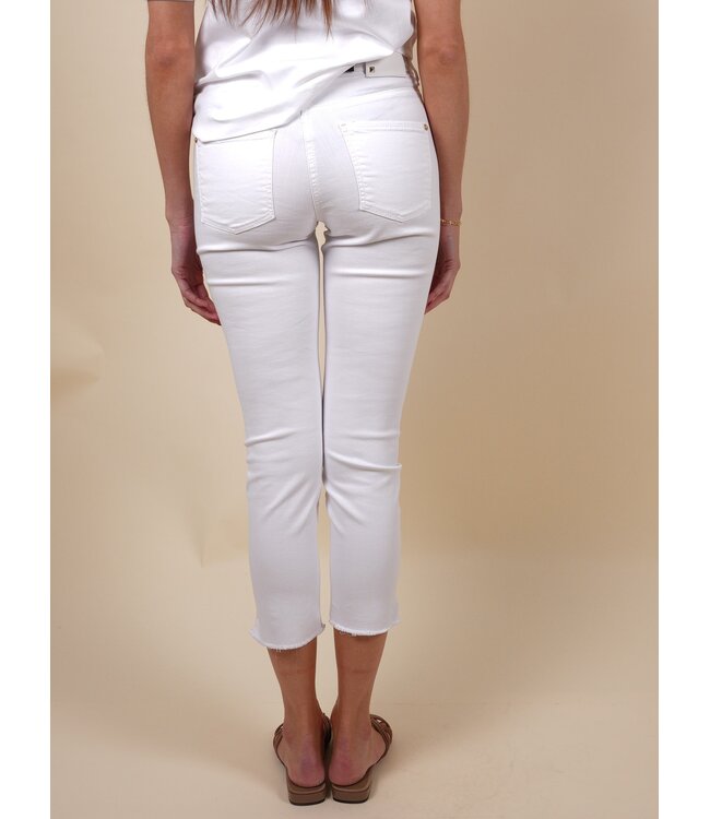 PiperS9047 0083/43 cl5009