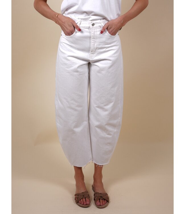 The Bubble Crop WTNF