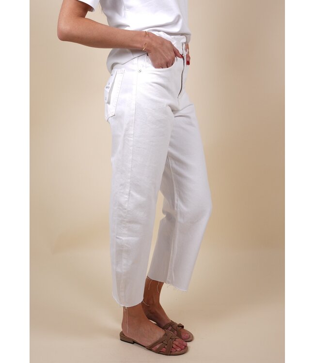 The Bubble Crop WTNF