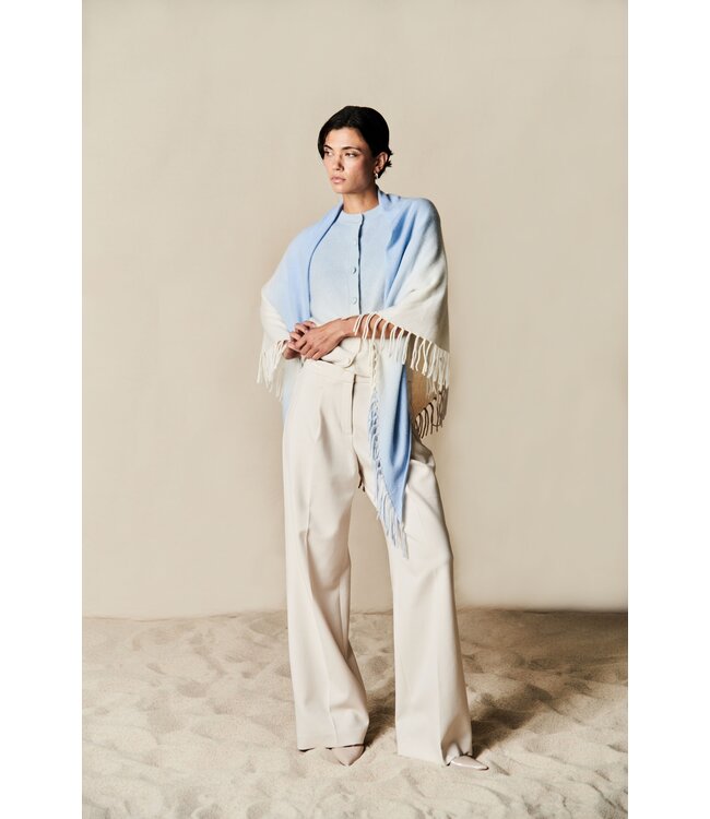 25262-5004 cl skylight/multi