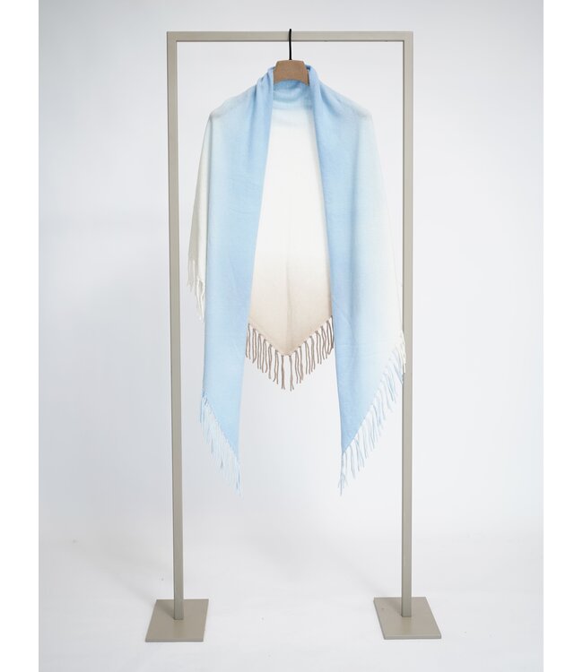 25262-5004 cl skylight/multi