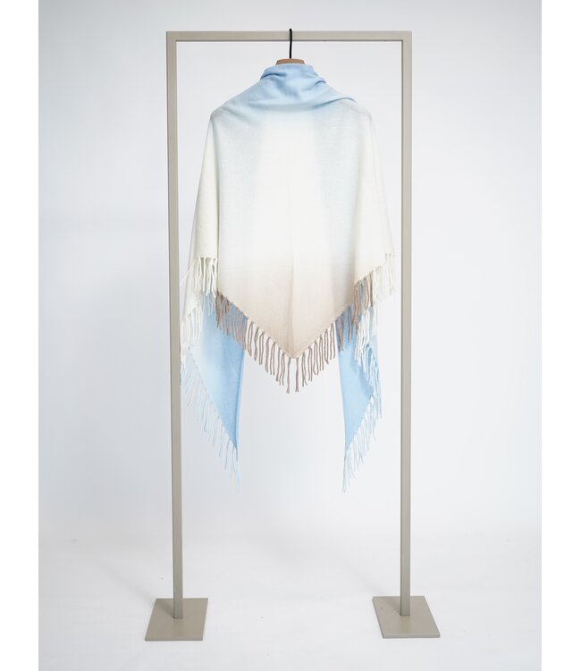 25262-5004 cl skylight/multi