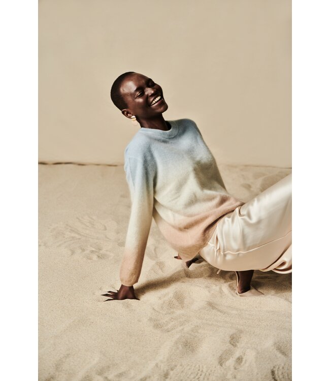 25262-1056 cl skylight/multi