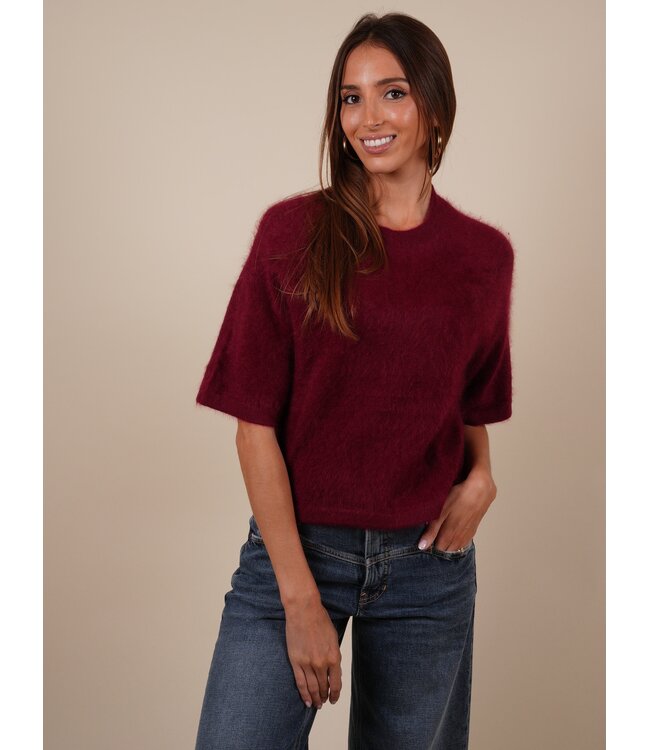 jenna AF1003WSC001A burgundy