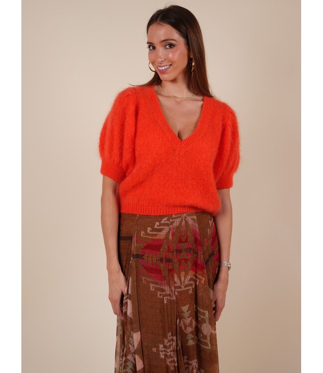 Blip corail