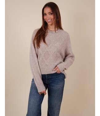Not Shy Dames-pull Not Shy