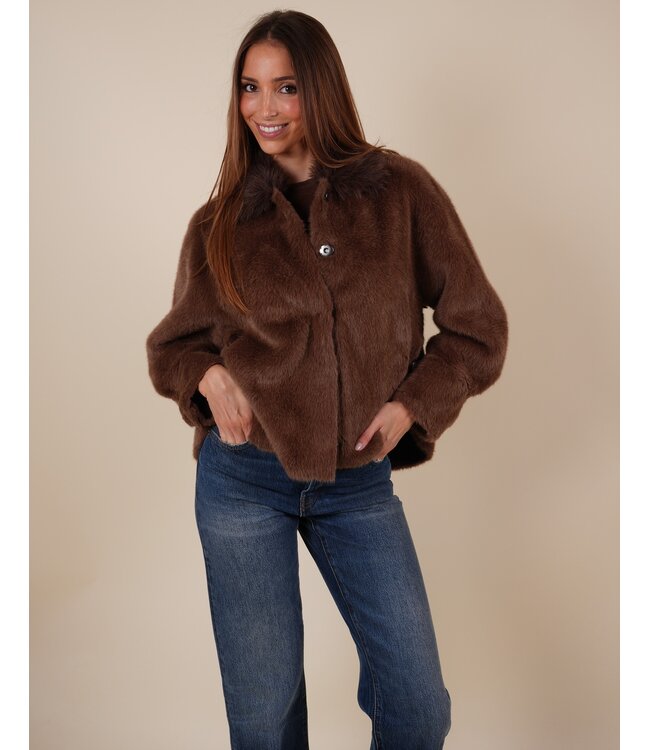 Tara 5900 brown