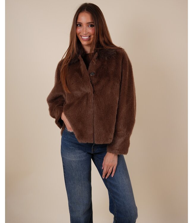 Tara 5900 brown