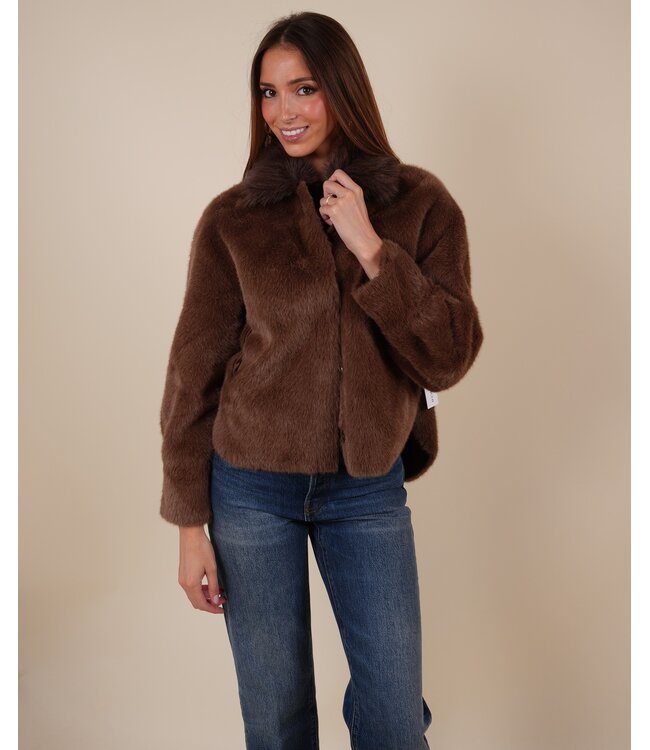 Tara 5900 brown
