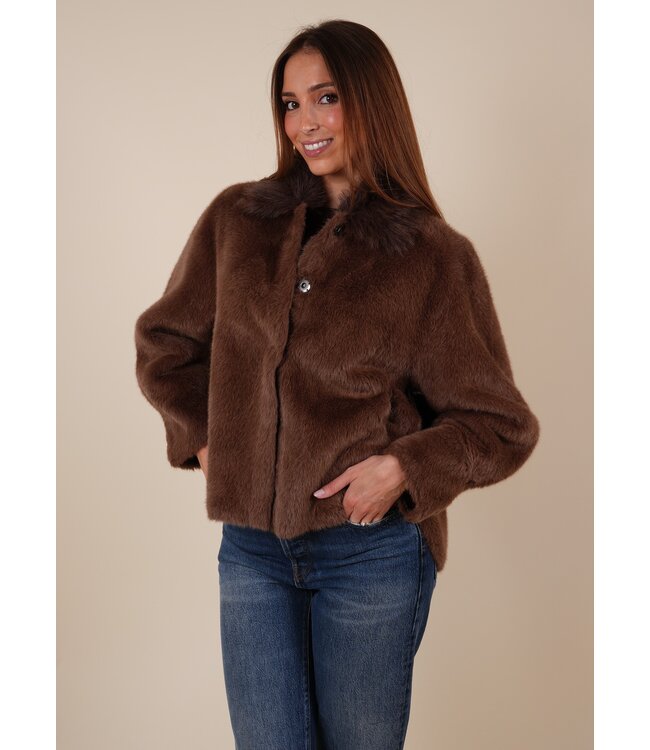 Tara 5900 brown