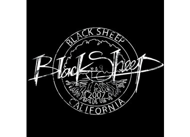 black sheep