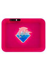 Glow Tray x Pink Dolphin Pink
