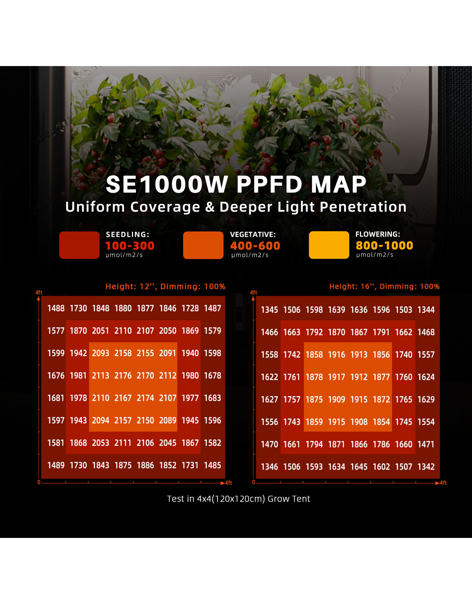 Spider Farmer Spider Farmer  SE 1000w  LED  lumiere1000watt