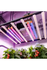 Spider Farmer Spider Farmer  SF SUPPLEMENTAL LAMP UVR 3016 ( 60 cm)