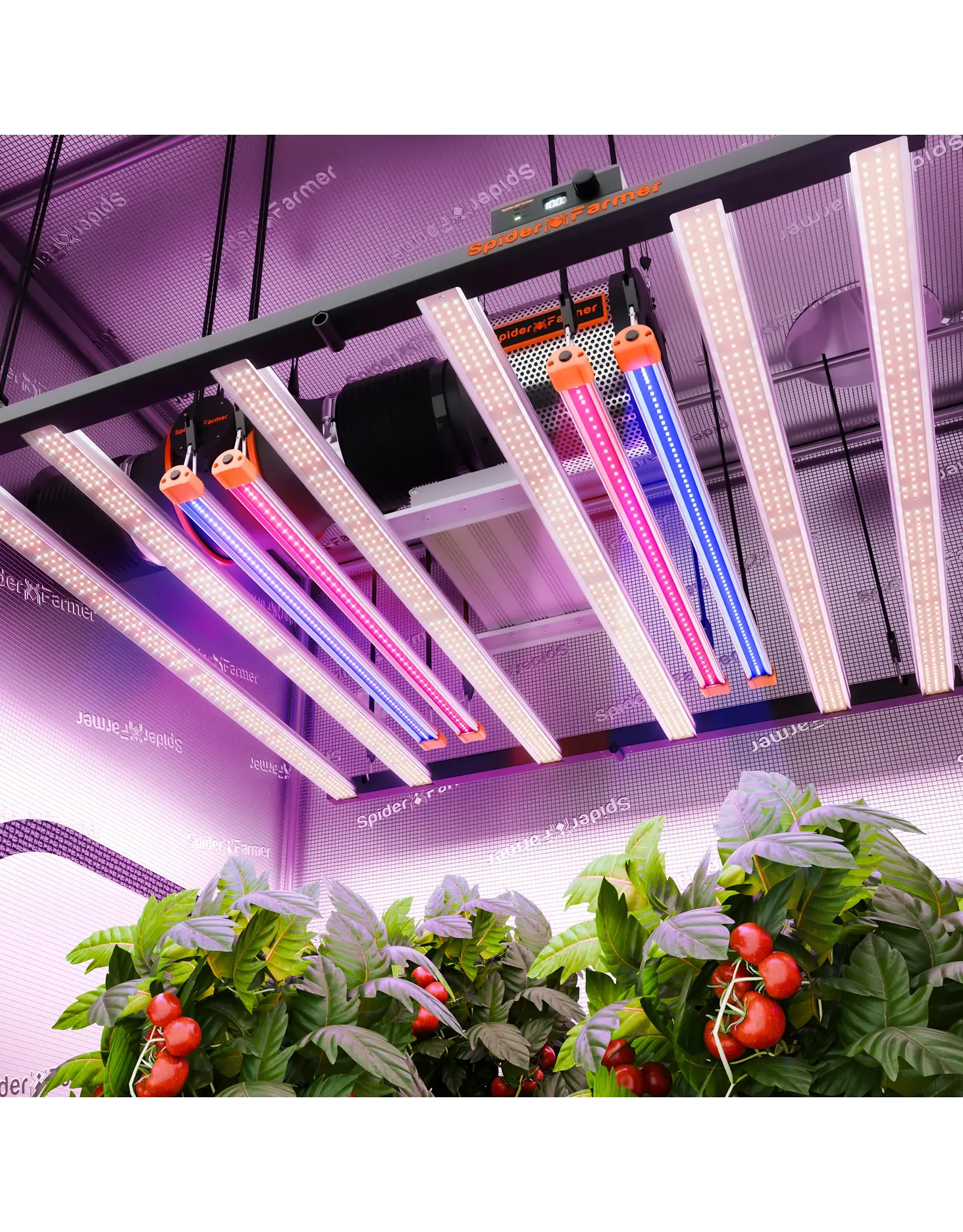 Spider Farmer Spider Farmer  SF SUPPLEMENTAL LIGHTUVR 3016 ( 60 cm)