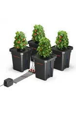 Spider Farmer Spider Farmer DWC Hydroponics Grow System   4 Buckets      Deep Water Culture