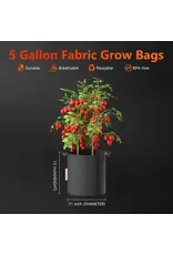 Spider Farmer Smart Pot Spider Farmer 19 L    Set Van  5