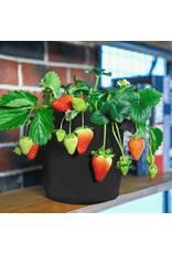 Spider Farmer Smart Pot Spider Farmer 41,5 L Set van 5