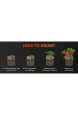 Spider Farmer Smart Pot Spider Farmer 41,5 L Set van 5
