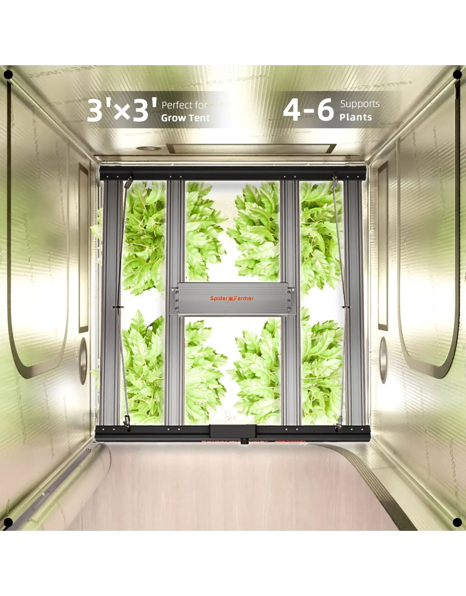Spider Farmer Spider Farmer 90x90x180cm Complete Grow Tent Kit With Program  Controller  G 3000   (300W)