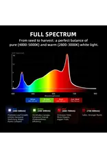 Spider Farmer Spider Farmer 120x120x200cm Complete Grow Tent Kit With  Program  Controller G5000 (480W)